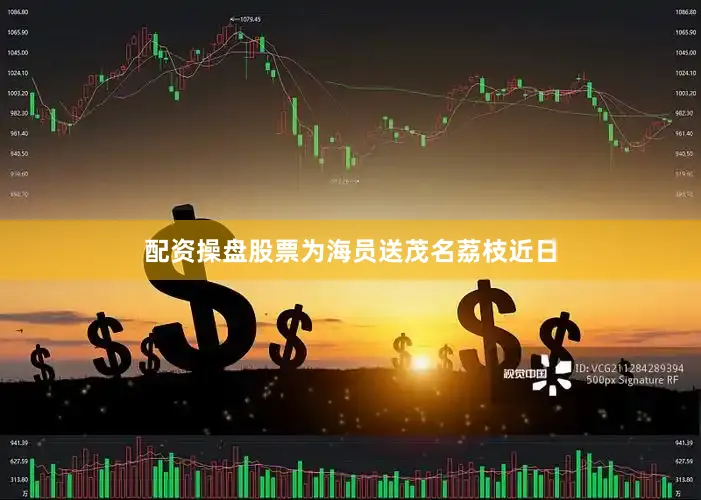 配资操盘股票为海员送茂名荔枝近日