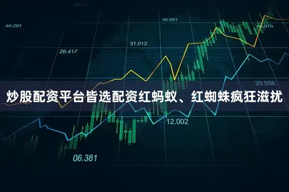 炒股配资平台皆选配资红蚂蚁、红蜘蛛疯狂滋扰