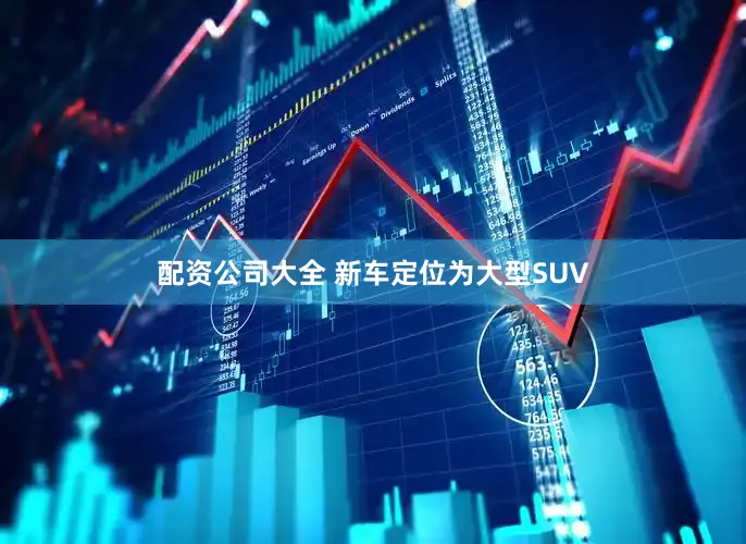 配资公司大全 新车定位为大型SUV